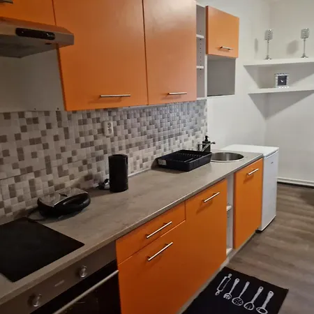 Apartment Cerna Ruze- 2 *