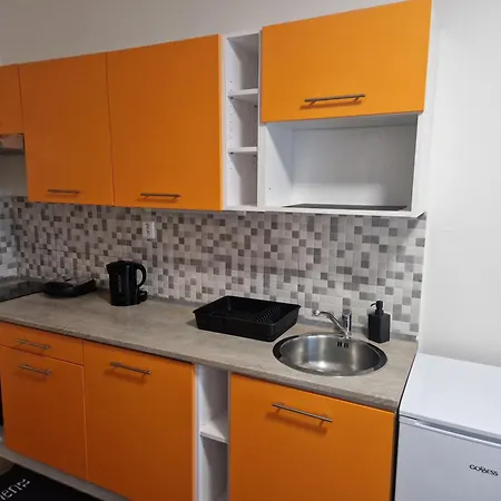 Cerna Ruze- 2 Apartament Pilzno
