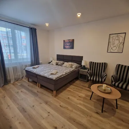 Apartment Cerna Ruze- 2 Plzen
