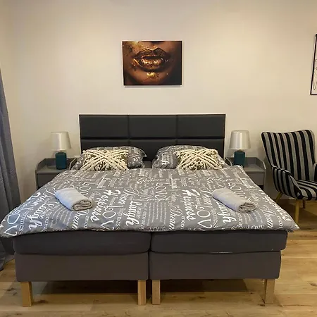 Apartment Cerna Ruze- 2 Plzen