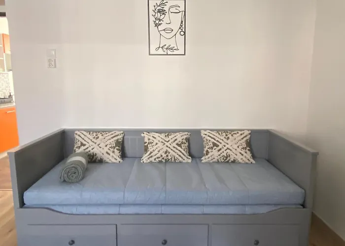 Apartamento černá Růže- 2 *