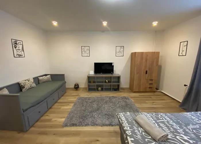 Apartamento černá Růže- 2 *