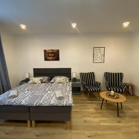 Cerna Ruze- 2 * Plzeň